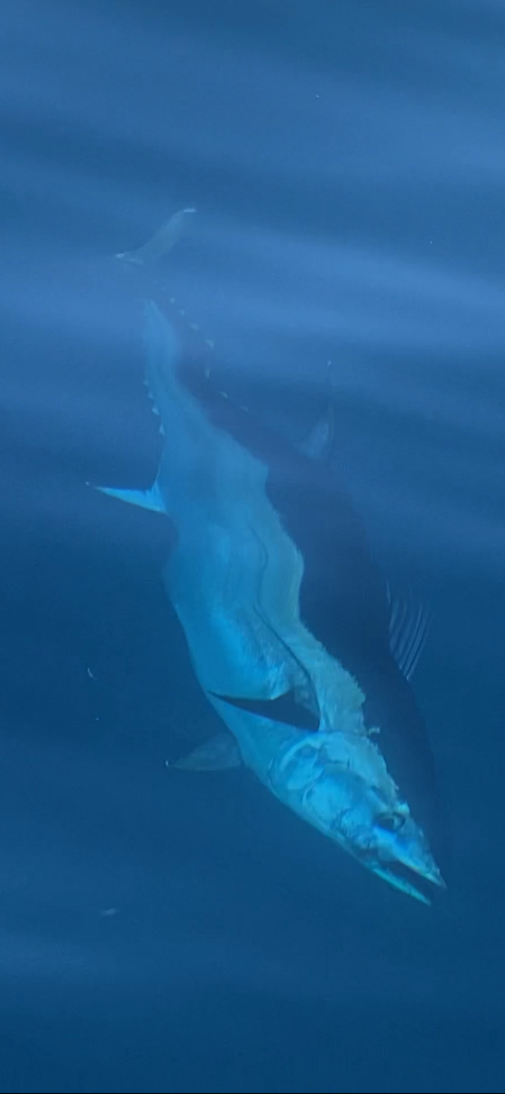 École de pêche en Gironde