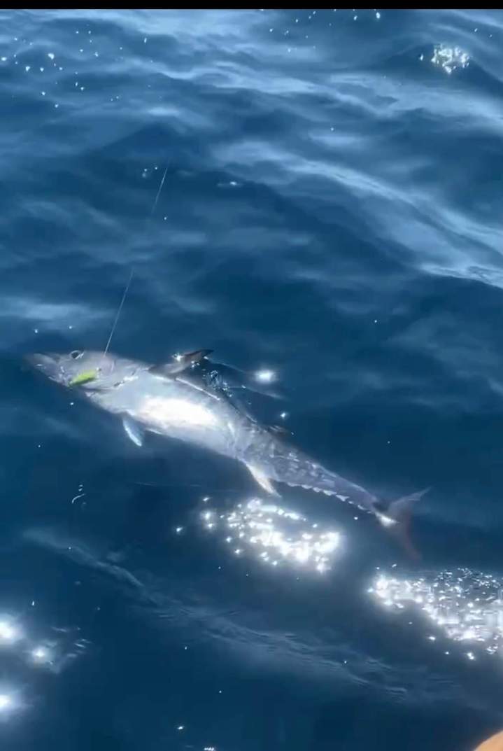École de pêche en Gironde